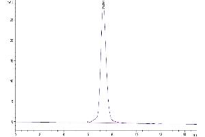 The purity of Human IL-1 Rrp2 is greater than 95 % as determined by SEC-HPLC. (IL1RL2 Protein (AA 20-335) (Fc Tag))