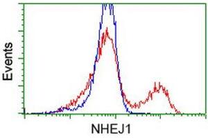 Flow Cytometry (FACS) image for anti-Nonhomologous End-Joining Factor 1 (NHEJ1) antibody (ABIN1499732) (NHEJ1 Antikörper)