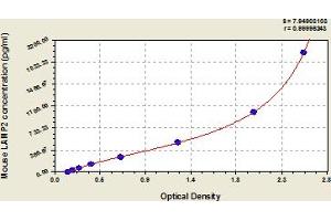 LAMP2 ELISA Kit