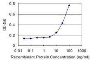 Detection limit for recombinant GST tagged HIPK1 is 3 ng/ml as a capture antibody. (HIPK1 Antikörper  (AA 330-430))