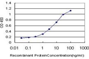 Detection limit for recombinant GST tagged KCNQ4 is approximately 1ng/ml as a capture antibody. (KCNQ4 Antikörper  (AA 596-695))