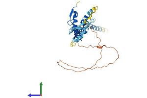 Protein Structure (PS) image for XiAP Associated Factor 1 (XAF1) (AA 1-301) protein (His tag) (ABIN7556055)