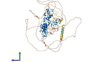 Protein Structure (PS) image for Actin Binding LIM Protein 1 (ABLIM1) (AA 1-861) protein (His tag) (ABIN7564673)