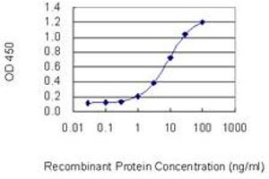 Detection limit for recombinant GST tagged RPS6KA5 is 0. (MSK1 Antikörper  (AA 372-470))