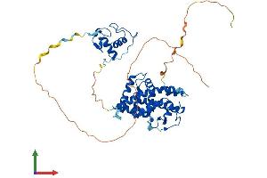 Protein Structure (PS) image for Retinoic Acid Receptor, gamma (RARG) (AA 1-454) protein (His tag) (ABIN7551286)