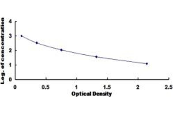 Gastrin ELISA Kit