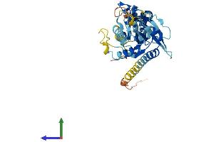 Protein Structure (PS) image for GTP-Binding Protein 10 (GTPBP10) (AA 1-387) protein (His tag) (ABIN7548169)