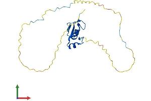 Protein Structure (PS) image for Ring Finger Protein 4 (RNF4) (AA 1-194) protein (His tag) (ABIN7561839)