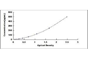 Galectin 9 ELISA Kit