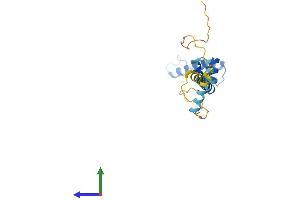 Protein Structure (PS) image for DnaJ (Hsp40) Homolog, Subfamily C, Member 5 beta (DNAJC5B) (AA 1-199) protein (His tag) (ABIN7547140)