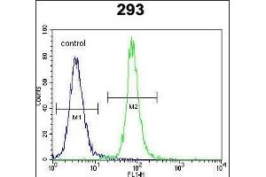 SOX2 Antibody f flow cytometric analysis of 293 cells (right histogram) compared to a negative control cell (left histogram). (SOX2 Antikörper)
