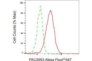 Flow cytometric analysis of PACSIN3 expression in HepG2 cells using PACSIN3 antibody ( (ABIN7799981), 1:2,000). (PACSIN3 Antikörper)