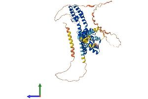 AlphaFold protein structure predicition of Mouse Recombinant Kcna5 Protein, UniprotID Q61762