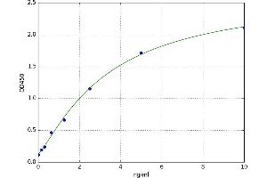 A typical standard curve