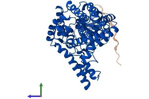 Protein Structure (PS) image for Fatty Acid Desaturase 3 (FADS3) (AA 1-445) protein (His tag) (ABIN7547527)