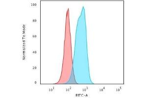 Flow Cytometric Analysis of RAW cells using Cytokeratin 6 Mouse Monoclonal Antibody (SPM269) followed by Goat anti-Mouse IgG-CF488 (Blue); Isotype Control (Red). (KRT6A/KRT6B/KRT6C (C-Term) Antikörper)