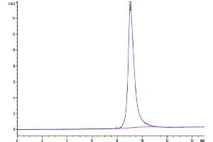 Size-exclusion chromatography-High Pressure Liquid Chromatography (SEC-HPLC) image for Keratin 19 (KRT19) (AA 310-399) protein (His tag) (ABIN7275111)