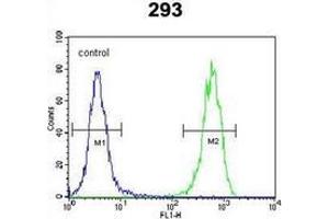 Flow cytometric analysis of 293 cells using PTK9L (arrow) using PTK9L Antibody (N-term) Cat.