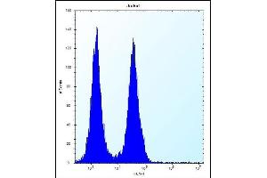 FA8A1 Antibody (N-term) (ABIN656718 and ABIN2845946) flow cytometric analysis of Jurkat cells (right histogram) compared to a negative control cell (left histogram).