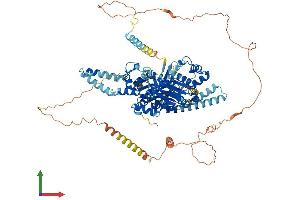 Protein Structure (PS) image for ATP-Binding Cassette, Sub-Family F (GCN20), Member 1 (ABCF1) (AA 1-837) protein (His tag) (ABIN7557993)