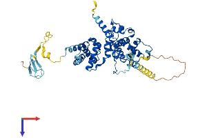 BRF2 Protein (AA 1-420) (His tag)