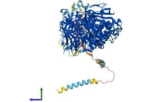 Protein Structure (PS) image for Mannosidase, Alpha, Class 2A, Member 1 (MAN2A1) (AA 1-1150) protein (His tag) (ABIN7563021)
