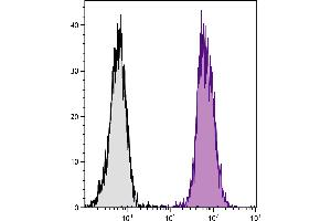 BALB/c mouse splenocytes were stained with Rat Anti-Mouse CD45-UNLB. (Ziege anti-Ratte IgG (Heavy & Light Chain) Antikörper - Preadsorbed)