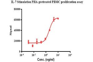 Human IL-7, No Tag stimulates proliferation of PHA-pretreated human peripheral blood mononuclear cell (PBMC) with the EC50 for this effect is 3. (IL-7 Protein)
