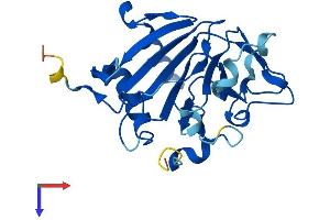 ALKBH6 Protein (AA 1-238) (His tag)