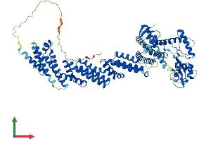 Protein Structure (PS) image for Cullin 4A (CUL4A) (AA 1-759) protein (His tag) (ABIN7563662)