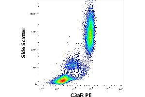 Flow cytometry surface staining pattern of human peripheral whole blood stained using anti-human C3aR (HC3aRZ8) PE antibody (10 μL reagent / 100 μL of peripheral whole blood). (C3AR1 Antikörper  (PE))