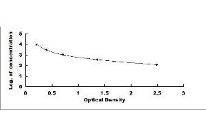 Typical standard curve (Kallikrein 6 ELISA Kit)