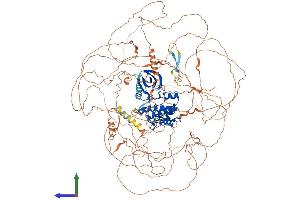 AlphaFold protein structure predicition of Human Recombinant MAP3K19 Protein, UniprotID Q56UN5