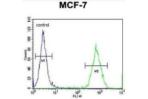 GPD1L Antibody (N-term) flow cytometric analysis of MCF-7 cells (right histogram) compared to a negative control cell (left histogram).