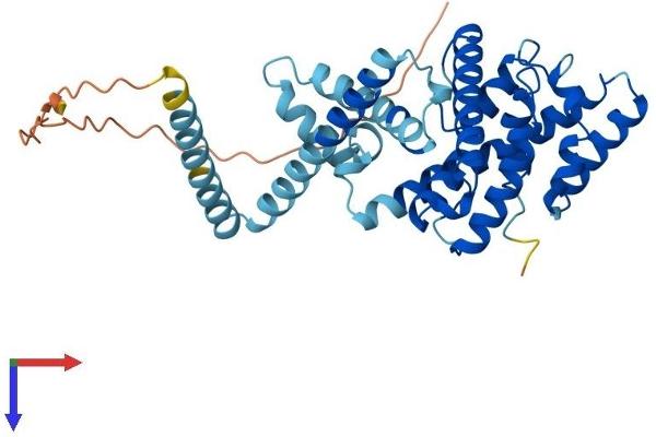 LETMD1 Protein (AA 1-360) (His tag)