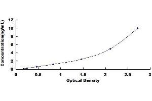 Typical standard curve (SCG3 ELISA Kit)