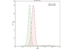 Detection of LDLR in HepG2 human hepatocellular carcinoma cell line using Anti-Low Density Lipoprotein Receptor (LDLR) Polyclonal Antibody (LDLR Antikörper  (AA 497-742))