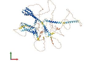 Protein Structure (PS) image for Potassium Voltage-Gated Channel, KQT-Like Subfamily, Member 5 (KCNQ5) (AA 1-933) protein (His tag) (ABIN7565109)