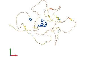 Protein Structure (PS) image for Ligand Dependent Nuclear Receptor Corepressor (Lcor) (AA 1-433) protein (His tag) (ABIN7558137)