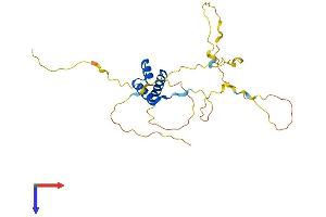 GSX1/GSH1 Protein (AA 1-261) (His tag)