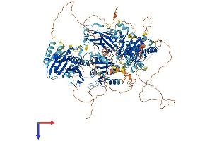 PITPNM1 Protein (AA 1-1244) (His tag)