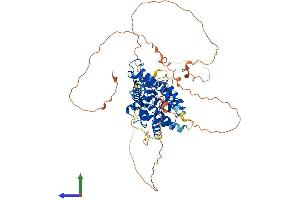 Protein Structure (PS) image for Nuclear Receptor Subfamily 4, Group A, Member 1 (NR4A1) (AA 1-598) protein (His tag) (ABIN7549904)