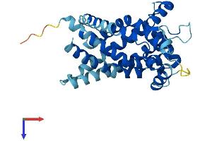 SLC25A21 Protein (AA 1-299) (His tag)