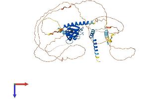 DCP1A Protein (AA 1-582) (His tag)