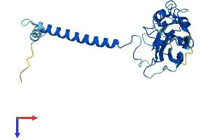 ATP1B3 Protein (AA 1-279) (His tag)