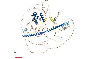 Protein Structure (PS) image for BTB and CNC Homology 1, Basic Leucine Zipper Transcription Factor 1 (BACH1) (AA 1-736) protein (His tag) (ABIN7552508)
