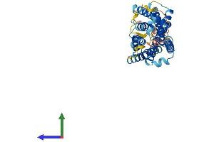 Protein Structure (PS) image for MAS-Related GPR, Member F (Mrgprf) (AA 1-343) protein (His tag) (ABIN7549493)
