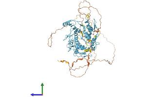 Protein Structure (PS) image for Zinc Finger Protein 64 (ZFP64) (AA 1-645) protein (His tag) (ABIN7545626)