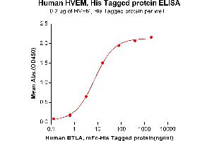 ELISA plate pre-coated by 2 μg/mL (100 μL/well) Human HVEM, His tagged protein (ABIN6964089, ABIN7042433 and ABIN7042434) can bind Human BTLA,mFc-His tagged protein ABIN6961116, ABIN7042261 and ABIN7042262 in a linear range of 0.