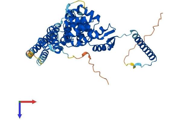 GPS1 Protein (AA 1-471) (His tag)